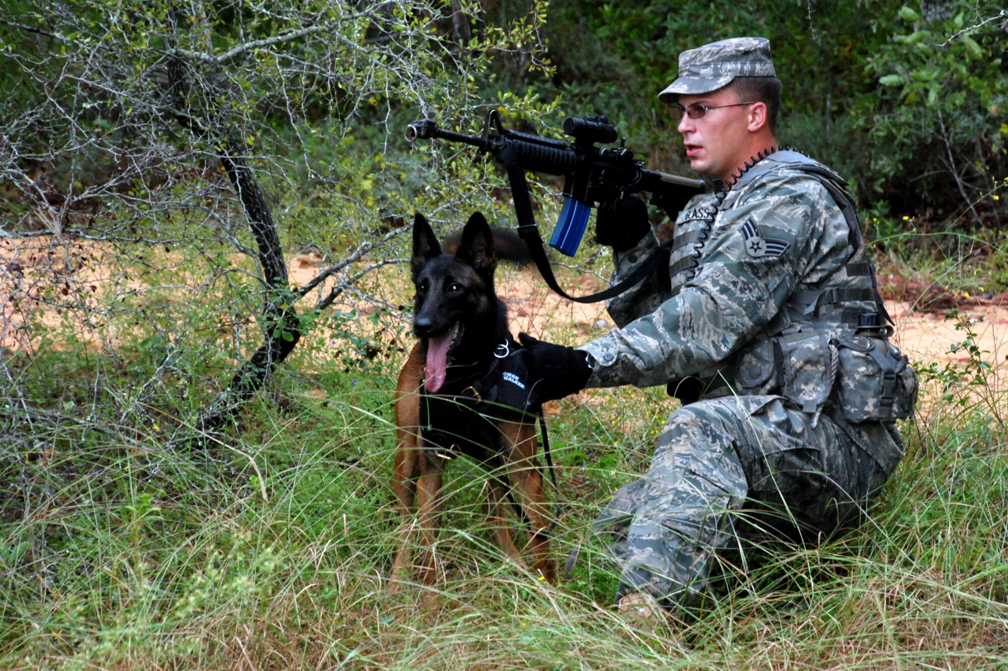 Senior Airman Eric Glass and his military working dog, Kim, watch a "suspect" during a Brave Defender patrol training exercise on Eglin Air Force Base, Fla., Oct. 23.  The two-week course has added a military working dog  tract to the cirriculum. Airman Glass is with the 42nd Security Forces Squadron at Maxwell AFB, Ala. (U.S. Air Force photo/Staff Sgt. Mike Meares)