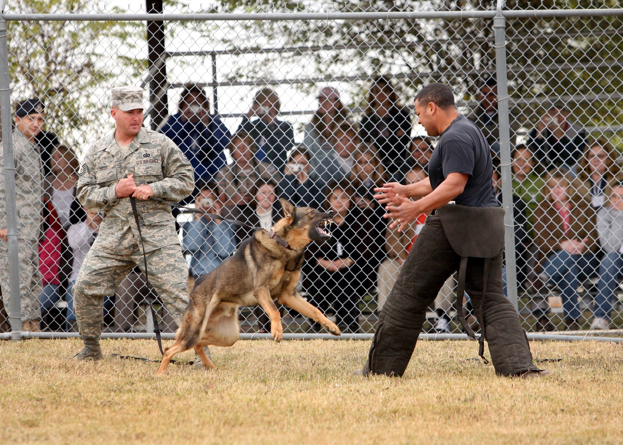Tech. Sgt. David Adcox holds his military working dog Samo, as decoy Staff Sgt. Jeremy Toliver agitates the dog during a demonstration Nov. 7 for the 5th International Working Dog Breeding Conference at Lackland Air Force Base, Texas.  The conference was attended by 140 people from 16 countries, representing military, government and non-government programs, academia and industry.  The conference focuses on the improvement of dogs through selective breeding for working occupations such as military, police, detection and assistance.  The sergeants and Samo are from the 341st Training Squadron at Lackland.  (U.S. Air Force photo/Robbin Cresswell)