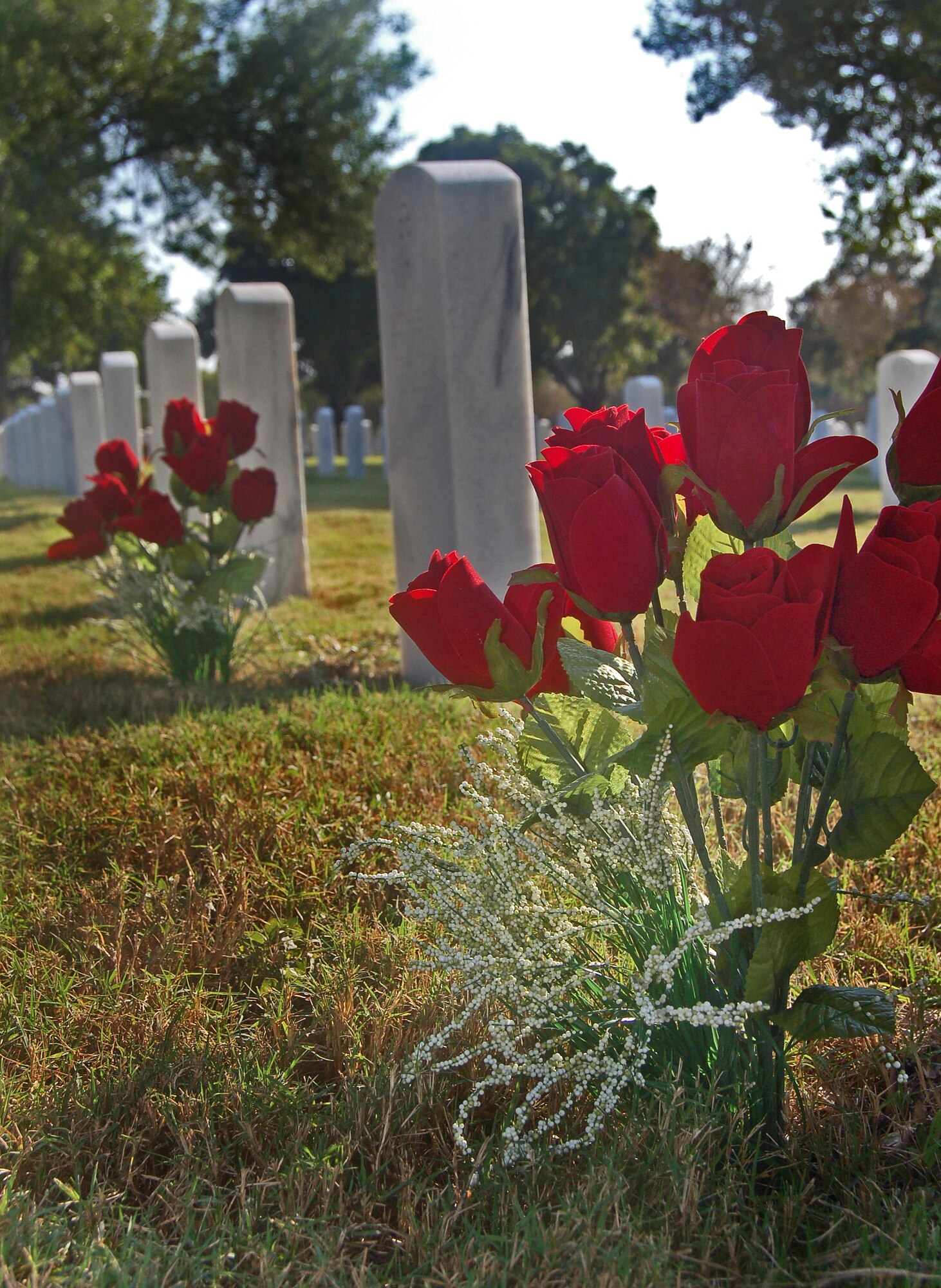 Roses adorn a gravesite at the Fort Sam Houston National Cemetery in San Antonio in honor of Veterans Day. (U.S. Air Force photo/Master Sgt. Lee Roberts)