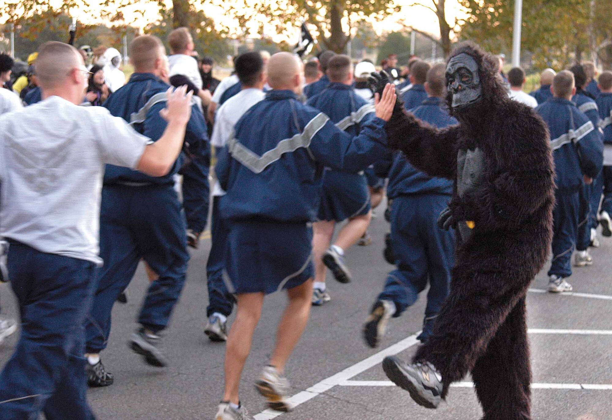 Col. James Appleyard, 3rd Combat Communications Group commander, wore a gorilla suit, carried a banana and cheered on his Airmen during a 3-mile Halloween physical training run. Costumed runners stopped by the Child Development Center West to wave at the children and cheer on the Herd Airmen who ran in traditional PT gear. (Air Force photo by Margo Wright)
