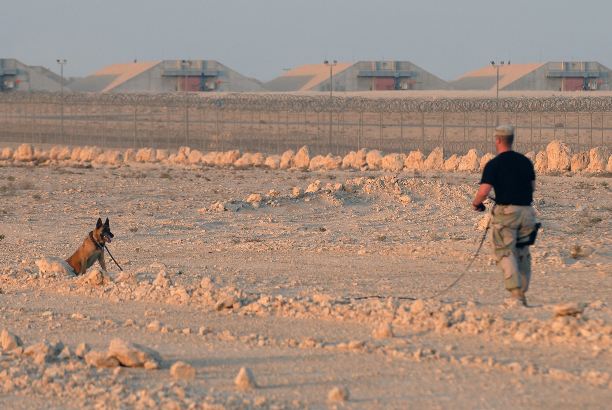 SOUTHWEST ASIA - Staff Sgt. Patrick Felice and his K9 partner, Roxy, work a training course Nov. 14 at a Southwest Asia air base. Roxy sits at her target and waits for her trainer's next command. Sergeant Felice is deployed from the Air Force Academy, Colo. His partner, Roxy, is five years old.  (U.S. Air Force photo/Staff Sgt. Douglas Olsen)