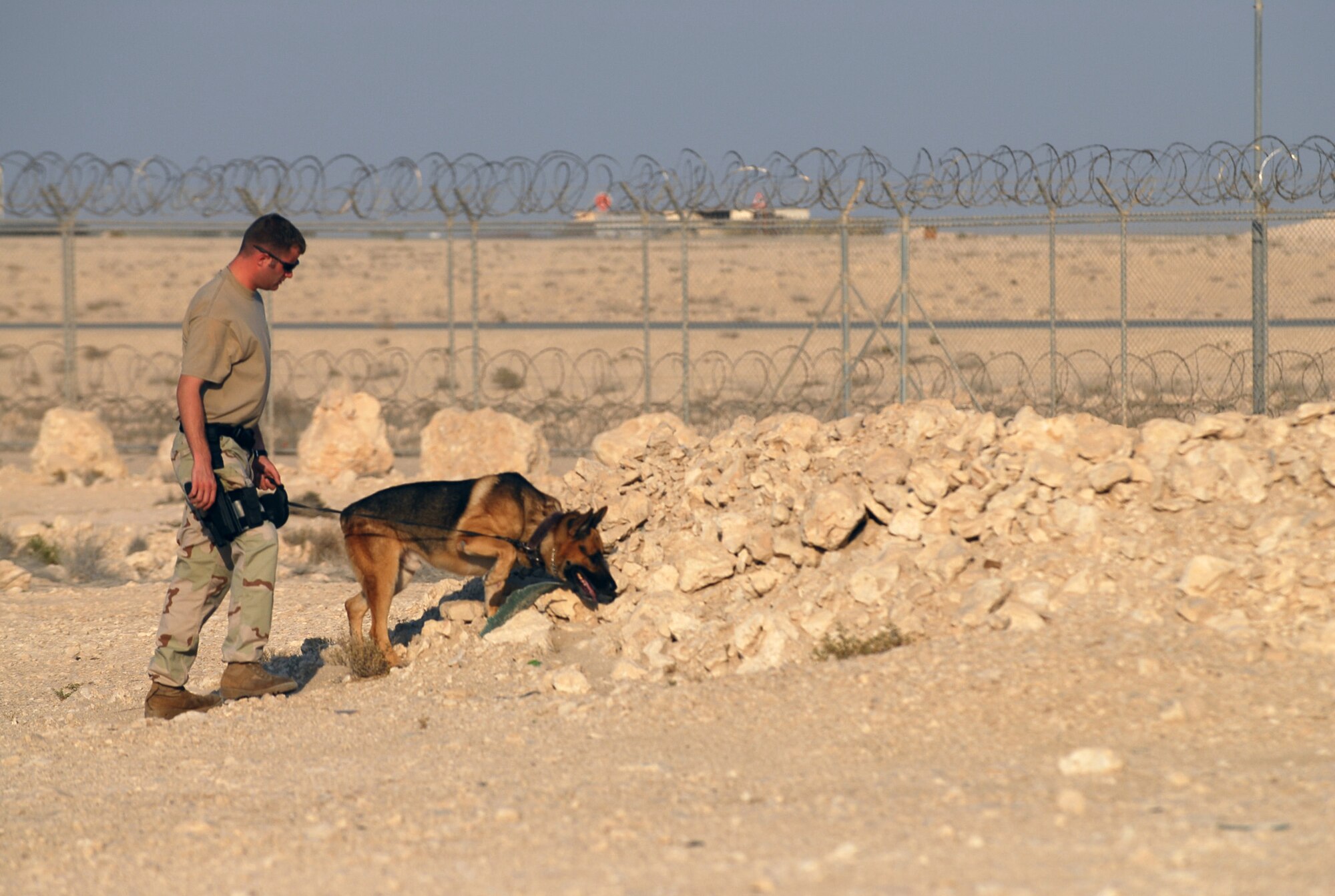 SOUTHWEST ASIA - Staff Sgt. Andrew Goligowski and his K9 partner, Endy, work a training course Nov. 14 at a Southwest Asia air base. Sergeant Goligowski is deployed from Grand Forks Air Force Base, ND. His partner, Endy, is seven years old.  (U.S. Air Force photo/Staff Sgt. Douglas Olsen)