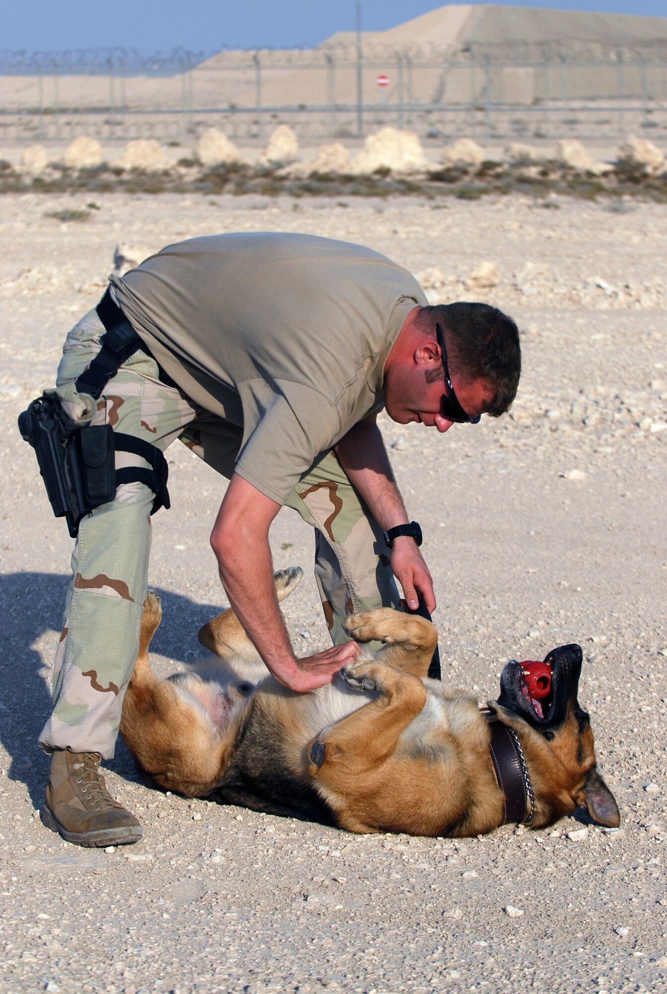 SOUTHWEST ASIA - Staff Sgt. Andrew Goligowski and his K9 partner, Endy, work a training course Nov. 14 at a Southwest Asia air base. Sergeant Goligowski rewards Endy after a successful pass on the course. Sergeant Goligowski is deployed from Grand Forks Air Force Base, ND. His partner, Endy, is seven years old.  (U.S. Air Force photo/Staff Sgt. Douglas Olsen)