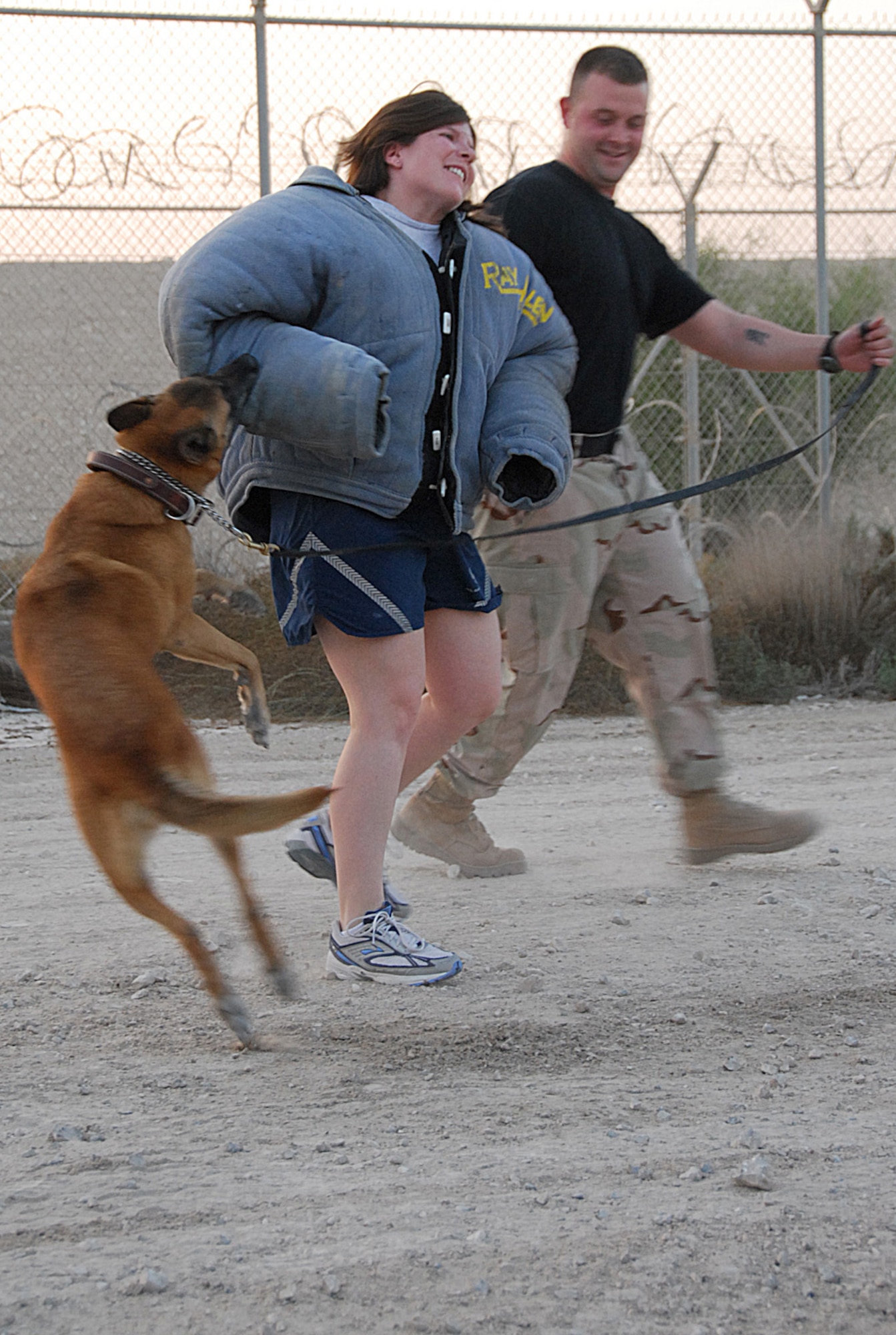 SOUTHWEST ASIA - Capt. Amber Thompson, 379th Expeditionary Communications Squadron, dons a protective jacket while Roxy, military working dog, shows her ability to restrain resisting subjects during a demonstration to company grade officers at a Southwest Asia air base Nov. 17. (U. S. Air Force photo/Staff Sgt. Douglas Olsen)