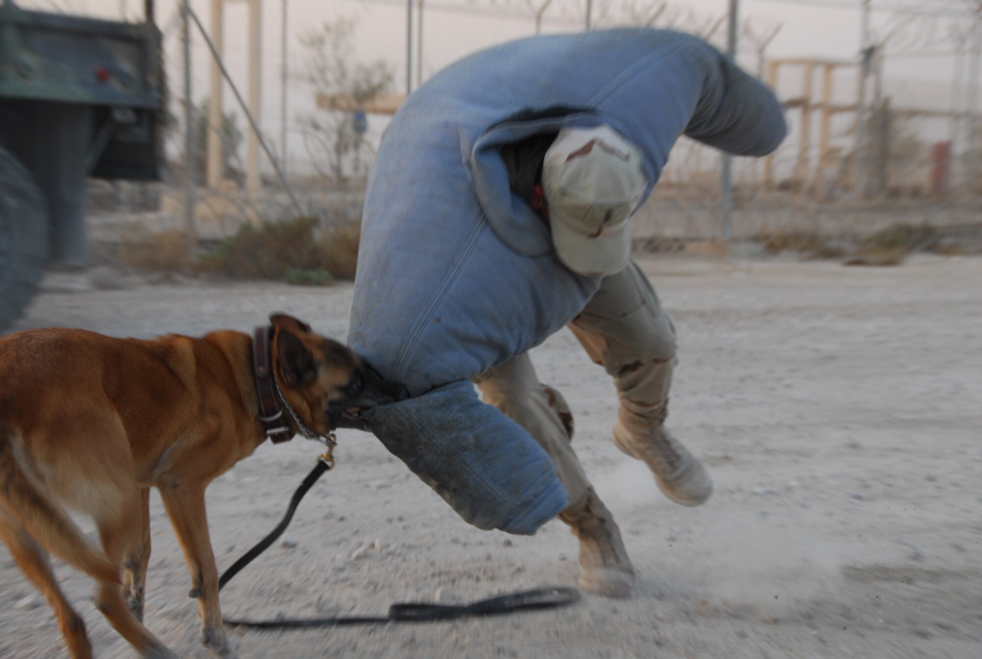 SOUTHWEST ASIA - 2nd Lt. Anthony Prose, 379th Expeditionary Security Forces Squadron, along with Roxy, military working dog, demonstrate MWDs ability to restrain resisting subjects to a group of company grade officers at a Southwest Asia air base Nov. 17. (U. S. Air Force photo/Staff Sgt. Douglas Olsen)