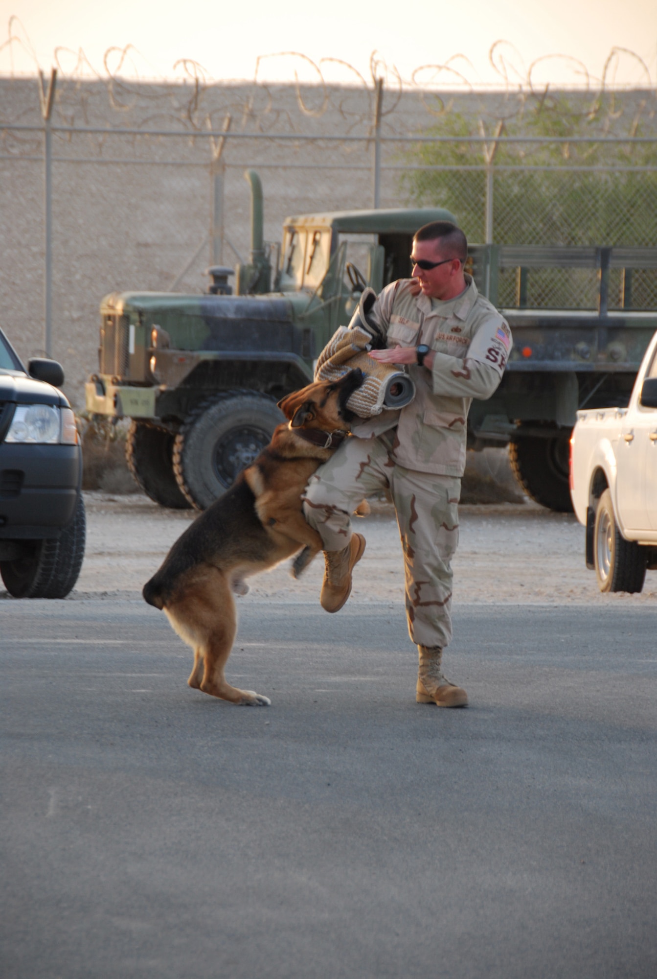 SOUTHWEST ASIA - Tech. Sgt. John Self, 379th Expeditionary Security Forces Squadron, along with Endy, military working dog, demonstrate MWDs ability to restrain resisting subjects to a group of company grade officers at a Southwest Asia air base Nov. 17. (U. S. Air Force photo/Staff Sgt. Douglas Olsen)