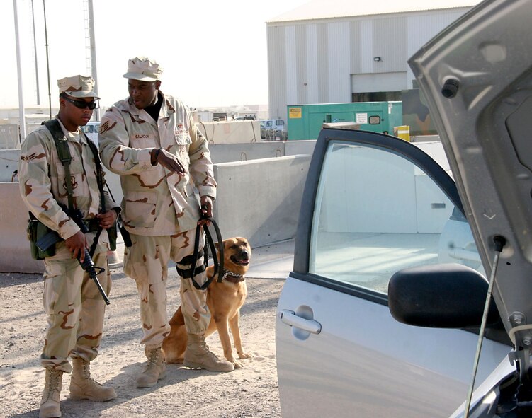 Staff Sgt. Malik Calhoun, 380th Expeditionary Security Forces Squadron K-9 handler with Arco, his Belgian Malinois patrol and explosive detection dog, explains the procedure of a vehicle sweep to his brother Airman 1st Class Dandre Bufford, 380th ESFS, who provides over watch during the training problem, Nov. 27. The brothers are deployed together in Southwest Asia, and were reunited Nov. 21 after being apart for more than two years. (U.S. Air Force photo/Master Sgt. Ruby Zarzyczny) 