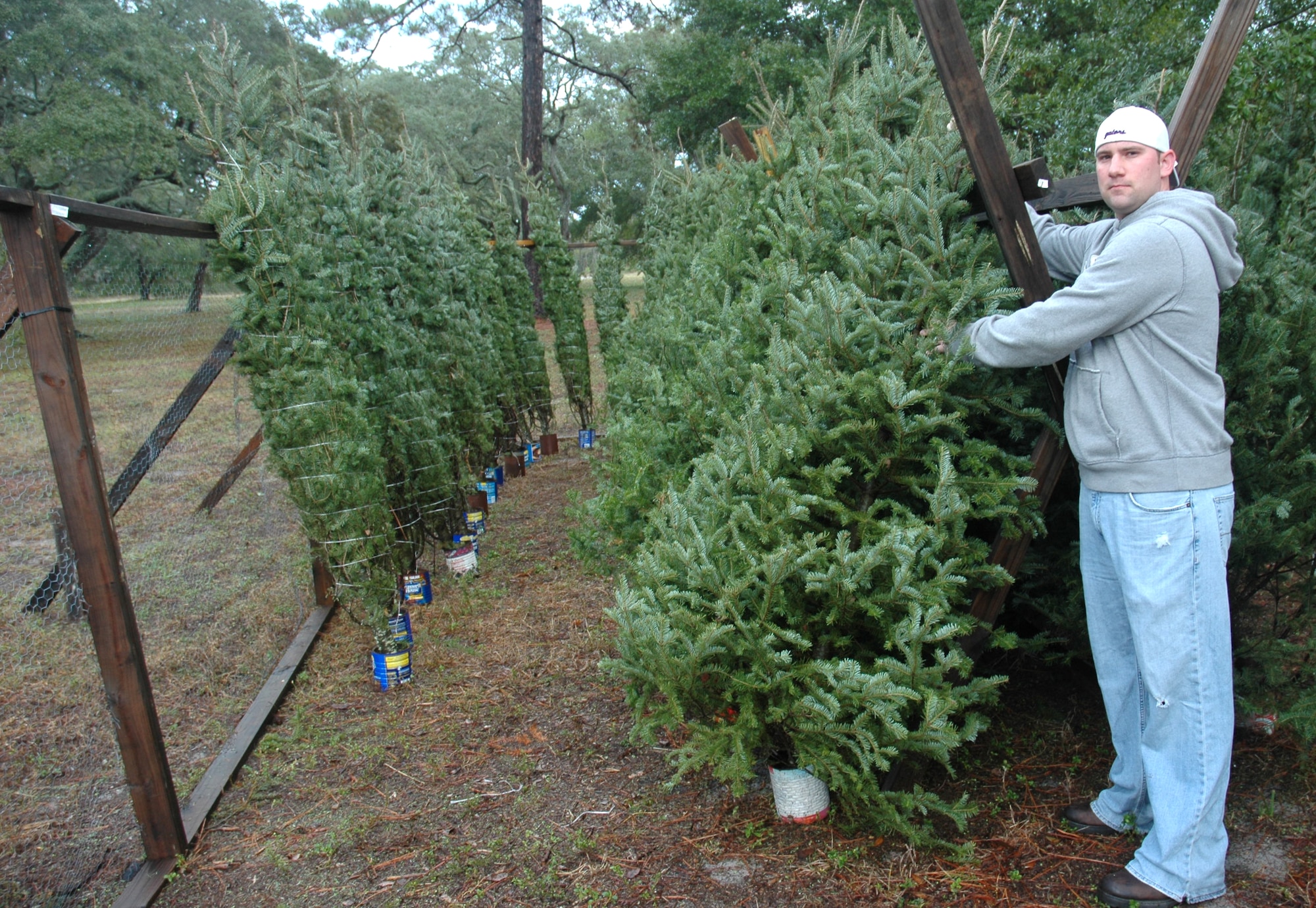 Senior Airman Matthew Harris, 325th Communications Squadron network administrator, holds up a Wisconsin Balsam Fir tree at his squadron Christmas tree fundraiser here Nov. 26.  The sale is the squadron's primary fundraiser every year and will be open through Dec. 16 or until all trees are sold.  (U.S. Air Force photo/Staff Sgt. Timothy R. Capling)