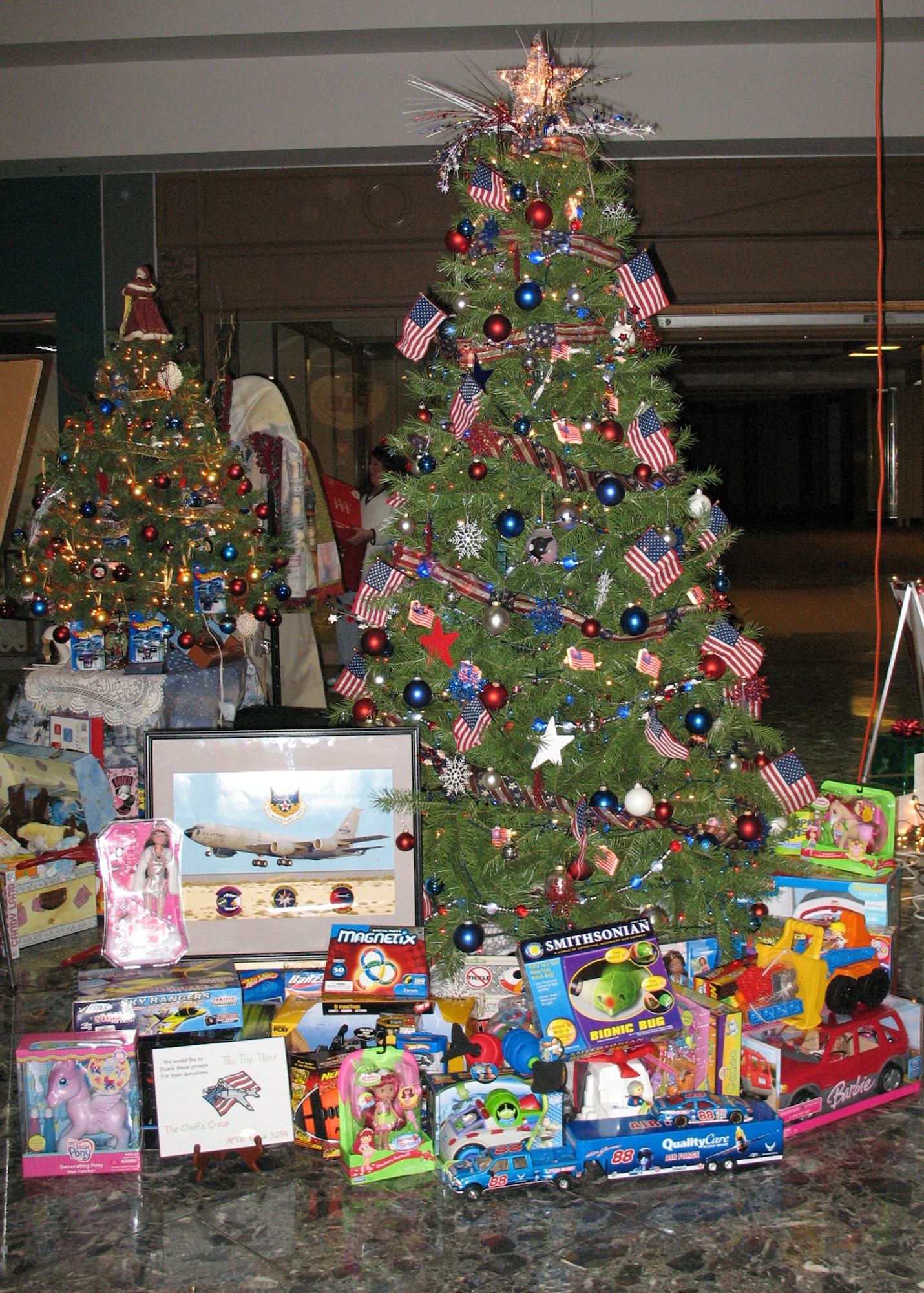 GRISSOM AIR RESERVE BASE, Ind., -- Volunteers from the 434th Maintenance Group decorated a Christmas tree to raise money for a local charity. The proceeds help bring Christmas to families who may not be able to afford one. The tree was decorated in October and was displayed at the Kokomo Mall for two-weeks. (courtesy photo)