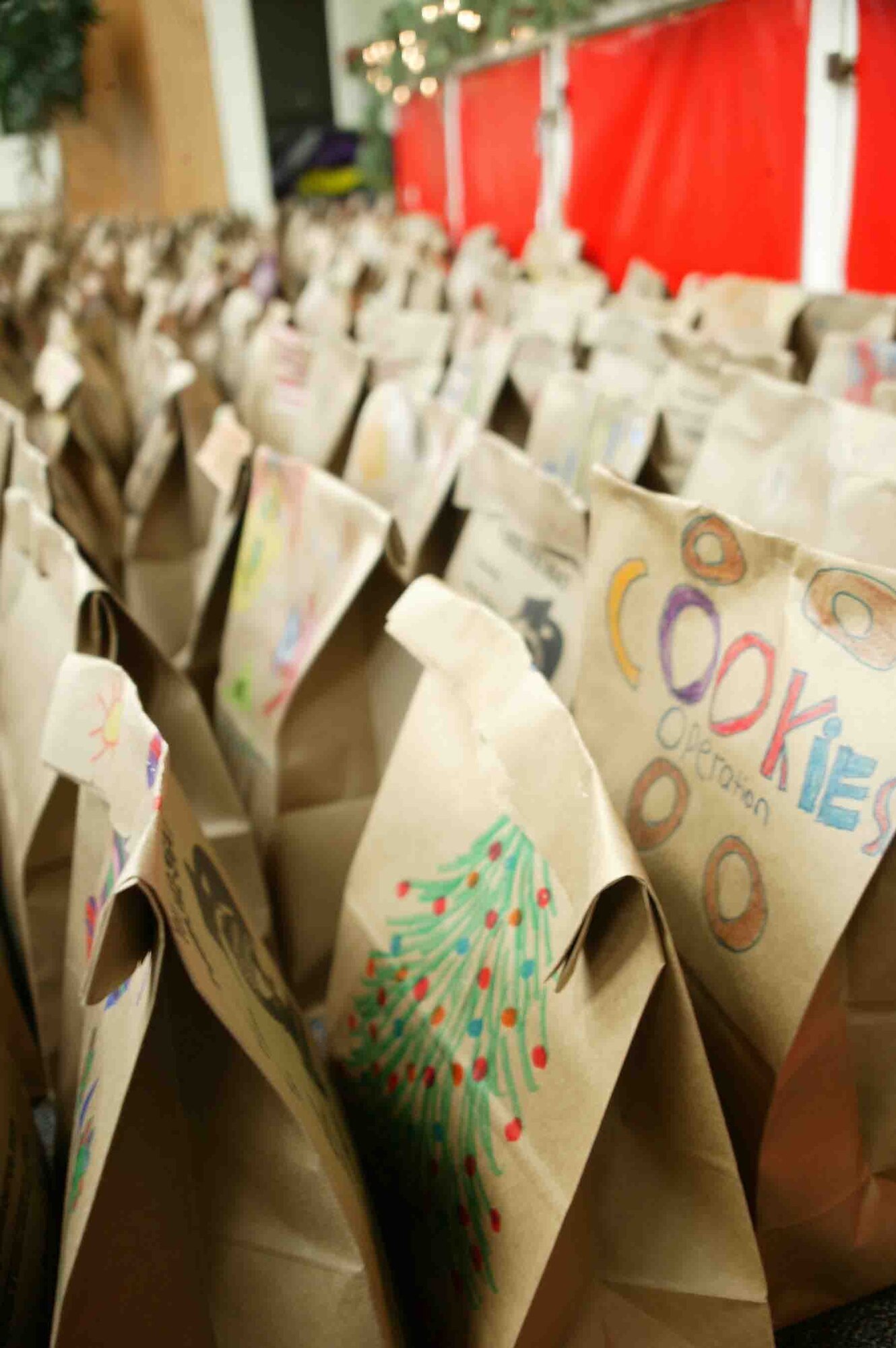 SHAW AIR FORCE BASE, S.C. --  Bags of cookies are displayed at the Community Activities Center during the Shaw Cookie Drive Nov. 29. The Airman's cookie drive, sponsored by the Enlisted Spouses Club and the Officer and Civilian Spouses Club, received more than 60,000 cookies this year from local community and base volunteers. The cookies are distributed to Airmen across Shaw and to deployed Airmen and Soldiers as well. (U.S. Air Force photo/Staff Sgt. John Gordinier)
