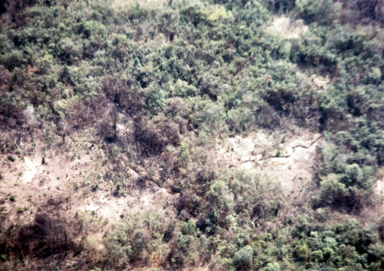 Communist trench revealed by Ranch Hand spraying. It normally took about three days for the spray to start affecting the vegetation. (U.S. Air Force photo)