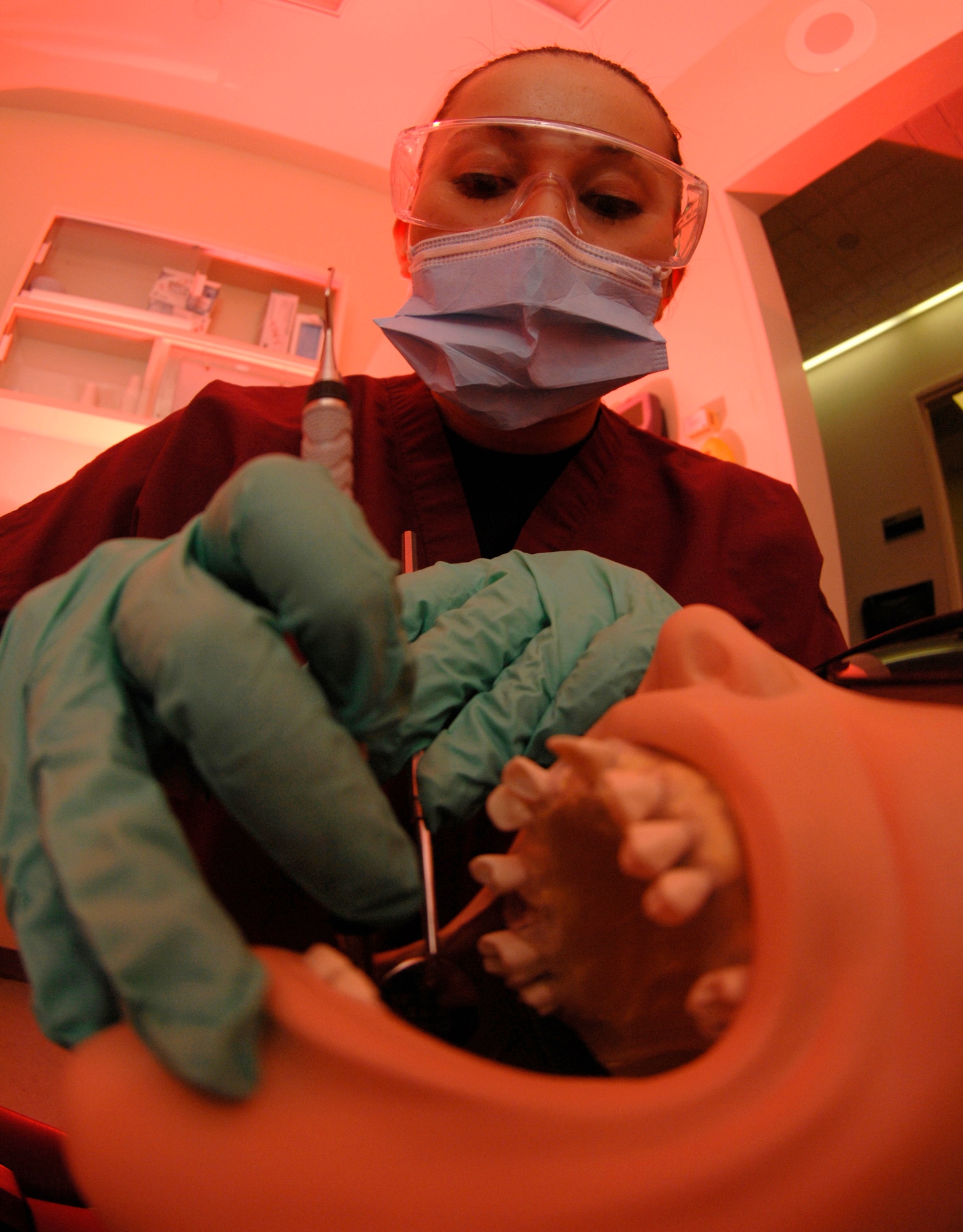 MINOT AIR FORCE BASE, N.D. -- Senior Airman Cynthia Atilano, a dental technician for the 5th Medical Operations Squadron, scrapes calculus, a form of plaque, off of "Dexter's" teeth here on October 2, 2007. Dexter is a training dummy for dental clinic. Calculus, if not treated, can lead to gum disease. A dental checkup is just one way Airmen can ensure they're in good health. (U.S. Air Force photo by Senior Airman Christopher Boitz)