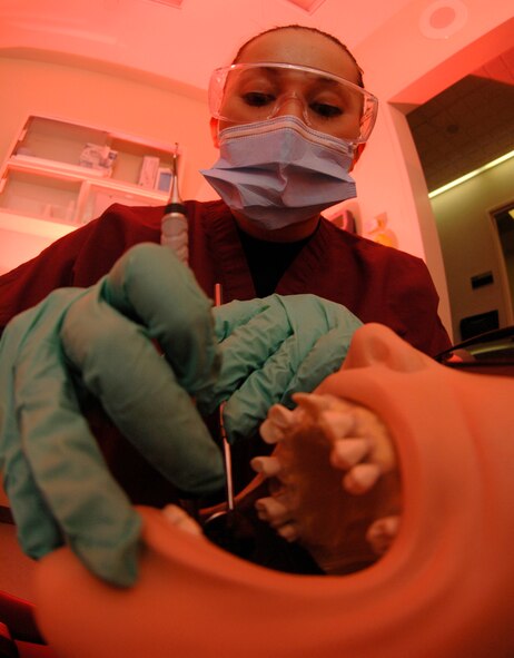 MINOT AIR FORCE BASE, N.D. -- Senior Airman Cynthia Atilano, a dental technician for the 5th Medical Operations Squadron, scrapes calculus, a form of plaque, off of "Dexter's" teeth here on October 2, 2007. Dexter is a training dummy for dental clinic. Calculus, if not treated, can lead to gum disease. A dental checkup is just one way Airmen can ensure they're in good health. (U.S. Air Force photo by Senior Airman Christopher Boitz)