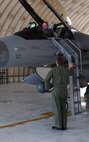 KUNSAN AIR BASE, South Korea – Lt. Col. Shane Riza, 80th Fighter Squadron director of operations, is greeted by Lt. Col. Thomas Klopotek, 80th FS commander, after arriving with the new block 40, F-16 Fighting Falcon here Oct. 2. The aircraft flew in from Eielson AFB, Alaska as part of the Common Configuration Implementation Program (CCIP). (U.S. Air Force photo/Senior Airman Steven R. Doty)                                                         