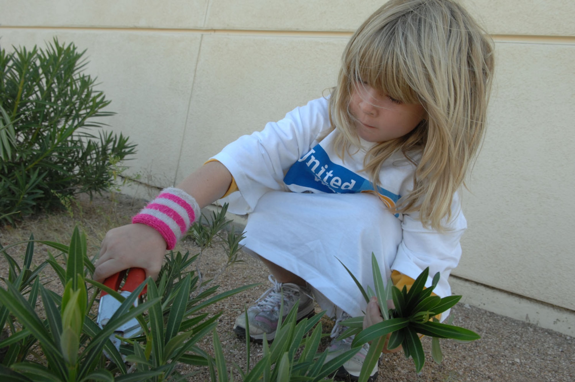 Marina Papineau, age 5, daughter of Capt. Scott R. Papineau, 355th Communications Squadron Director of Operations, trims leaves off of a bush at St. Luke's Home, Tucson, Arizona, on October 6, 2007. Approximately 80 Airmen volunteered to help clean at St. Luke's Home, an assisted living facility for elderly individuals. (U.S. Air Force photo/Airman 1st Class Noah R. Johnson)