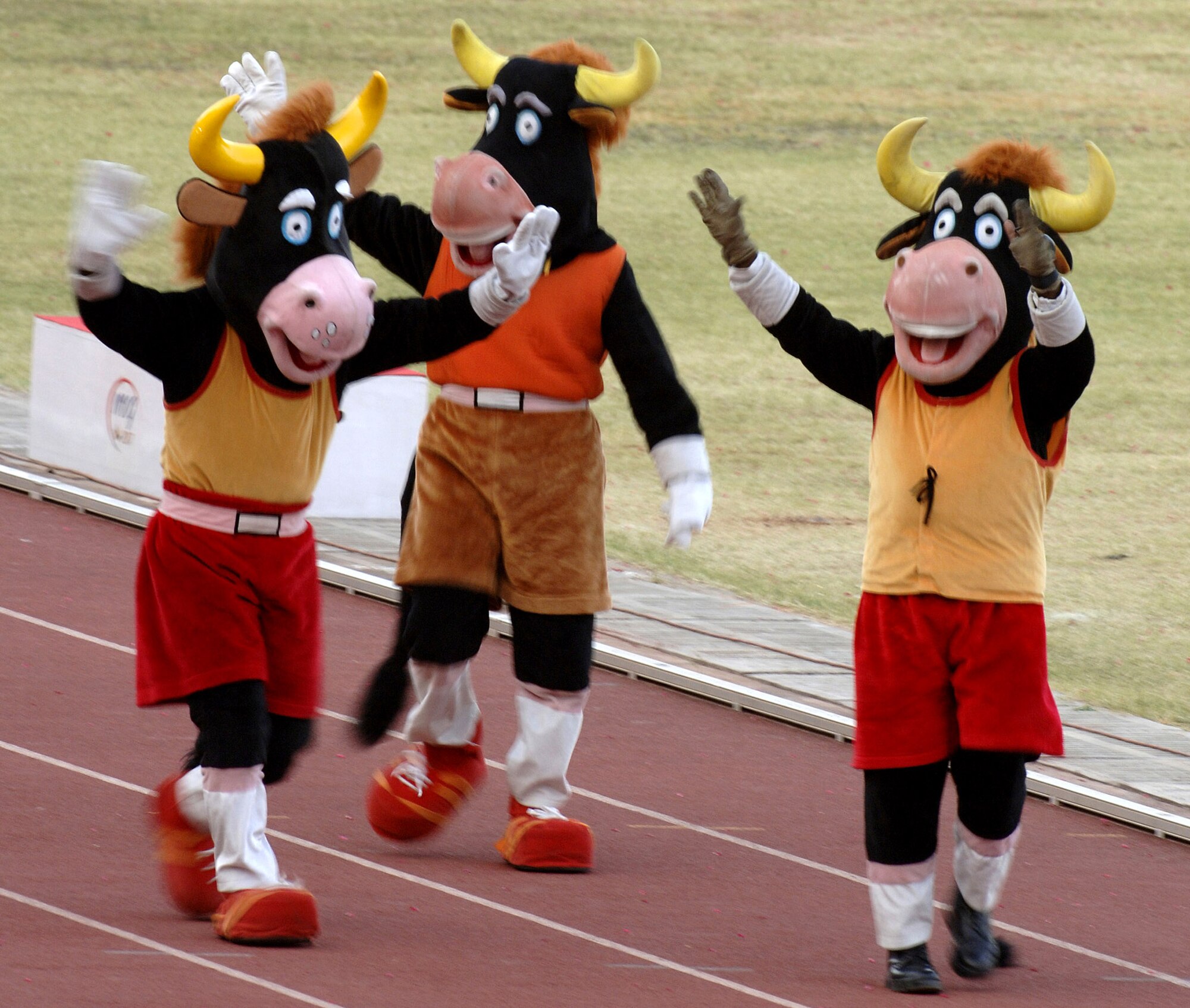 The great Indian bison, known as Gaur, is the mascot for the 4th Conseil Internationale du Sport Militaire Military World Games, set  in Hyderabad, India, Oct. 14 to 21.  This is the largest international military Olympic-style event in the world. In this fourth edition of the games, 103 countries and more than 5,000 athletes are competing Oct. 14 to 21 in boxing, diving, soccer, handball, judo, military pentathlon, parachuting, sailing, shooting, swimming, volleyball and track and field. The purpose of the Military World Games is to promote "friendship through sport."  (U.S. Air Force photo/Master Sgt. Glenda S. Lynchard) 