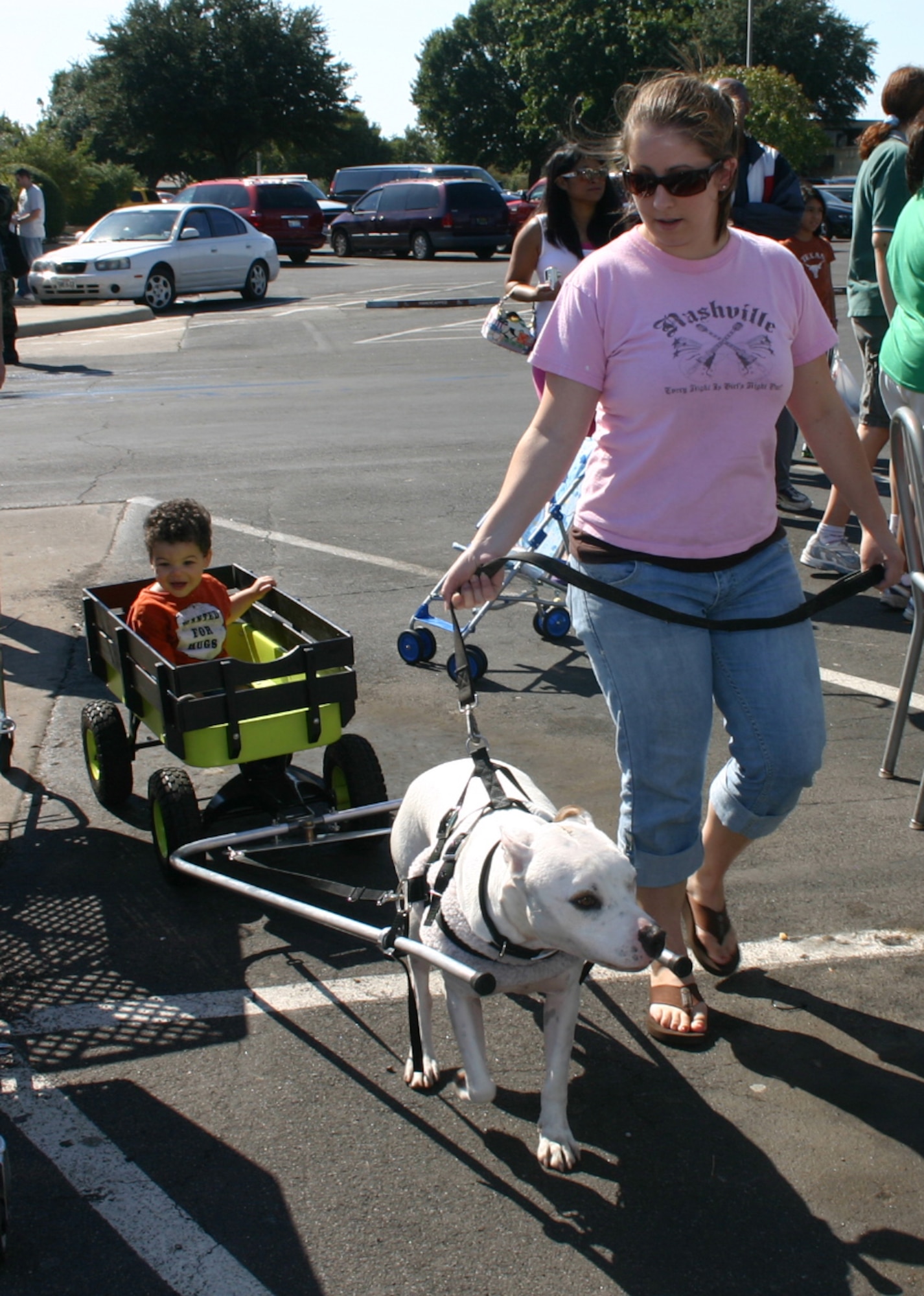 Janine Hawk and her dog Lexey take James Thompson, Jr. for a ride in a pet pull-cart at the Dog Show in the base exchange parking lot Oct. 13.  The cart was designed by Ms. Hawk.  (U.S. Air Force photo/Staff Sgt. Tonnette Thompson)