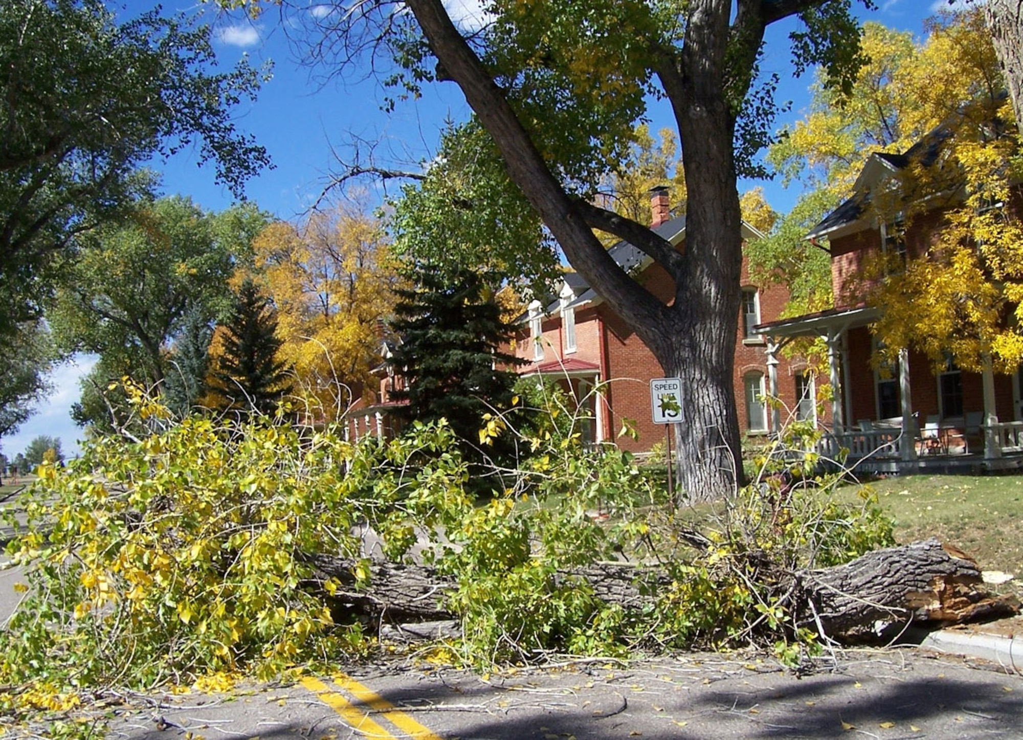 A tree limb fell Oct. 6 in front of quarters 28 on Fort Warren Avenue. The 90th Civil Engineer Squadron is removing 152 hazardous trees around base to avoid any more falling limbs (Photo by Tom Gonzales).