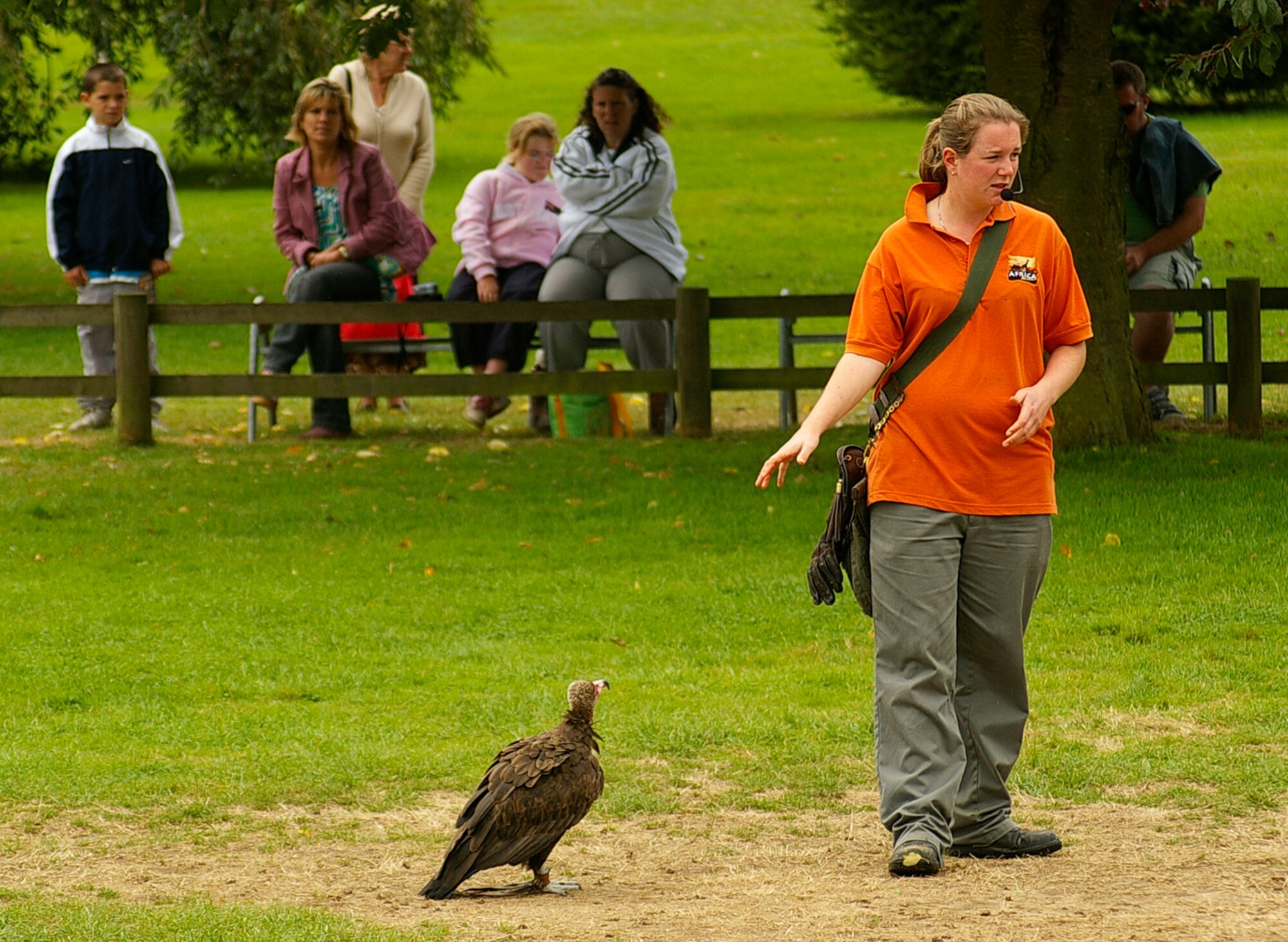 An animal trainer at Africa Alive talks to the audience about birds of prey, with the help of Vomit the vulture. A birds-of-prey display is held daily, with keepers showing off a hawk and an owl. (U.S. Air Force photo by Karen Abeyasekere)