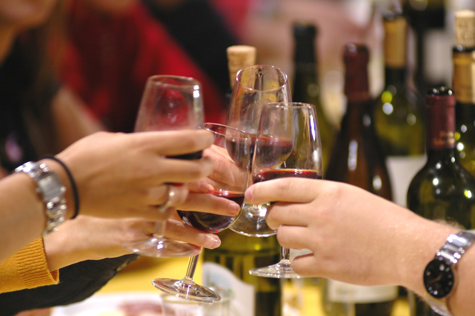 AVIANO AIR BASE, Italy--Airmen propose a toast to good friendship during a local wine and food tasting event at an Italian winery Oct. 19. The goal of the event was to teach Airmen how to enjoy the Italian culture responsibly and how wine can affect a person’s judgment. (U.S. Air Force photo/Senior Airman Justin Weaver)