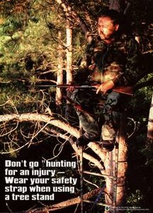 Don't go hunting for an injury