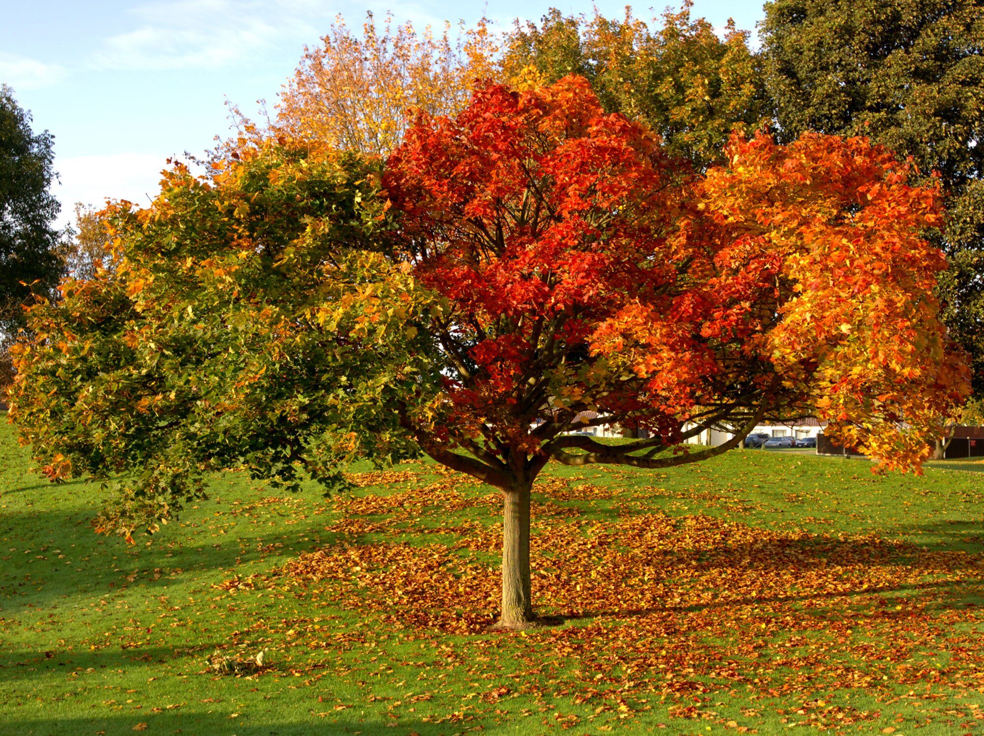 (U.S. Air Force photo by Tech. Sgt. Tracy L. DeMarco)