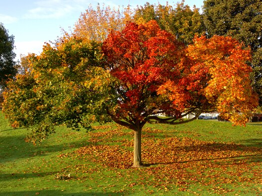 (U.S. Air Force photo by Tech. Sgt. Tracy L. DeMarco)