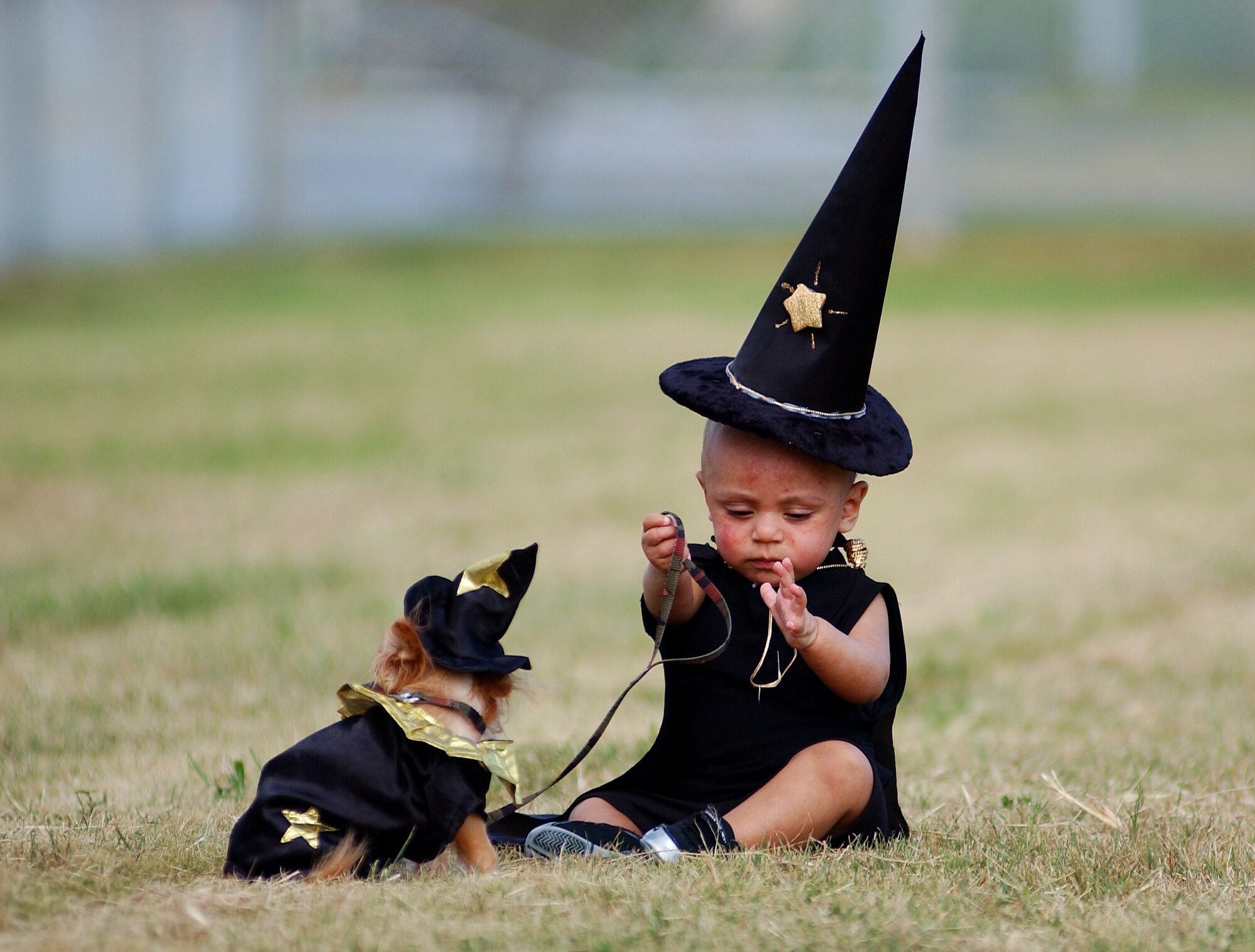 Kadena Services holds Dogctoberfest gt Kadena Air Base gt News