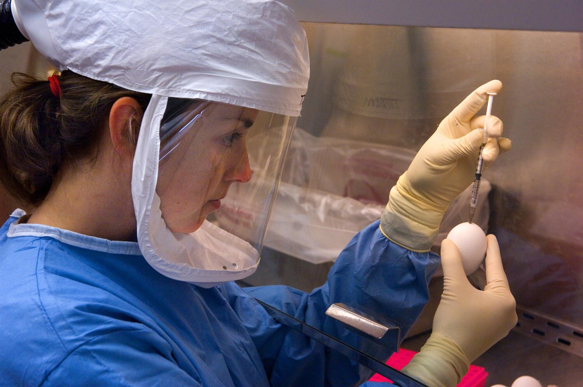 Dr. Taronna Maines, a microbiologist in the influenza branch at the Centers for Disease Control and Prevention, inoculates 10-day old embryonated hen's eggs with a specimen containing an H5N1 avian influenza virus. (Photo by Greg Knobloch)