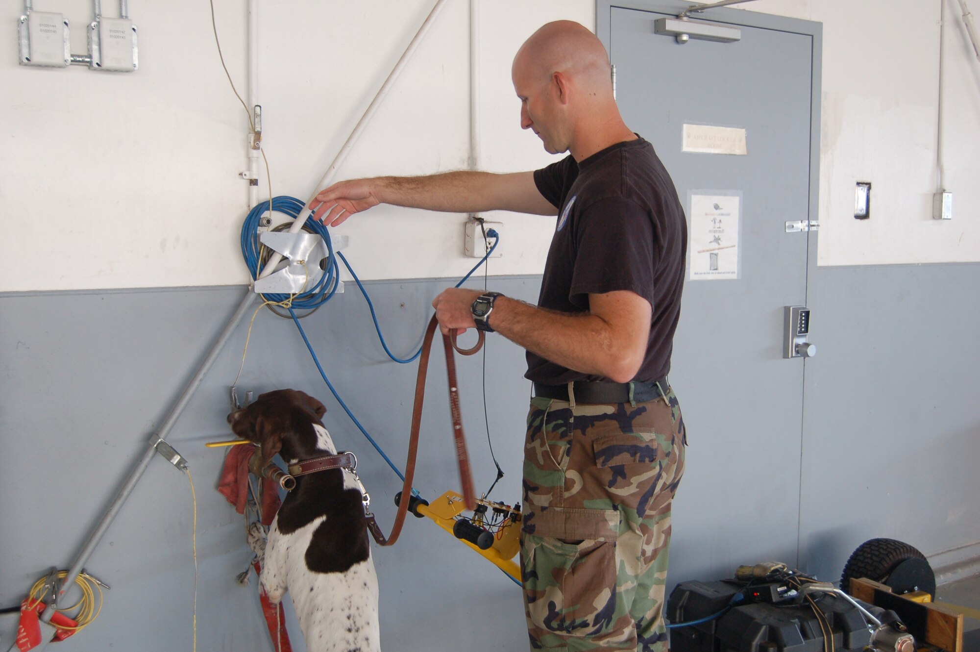 Staff Sgt. Todge Smith, a canine handler at the U.S. Air Force Academy, works with his dog Haus, a German Shorthaired Pointer, during an explosives detection exercise in Hangar 119. Haus is the Department of Defense’s only German Shorthaired Pointer. The exercise was part of the fourth annual Rocky Mountain Canine Trials, which took place Sept. 7 and Sept. 8 at Peterson, the Colorado Springs Airport and the Air Force Academy. (U.S. Air Force photo by Corey Dahl)