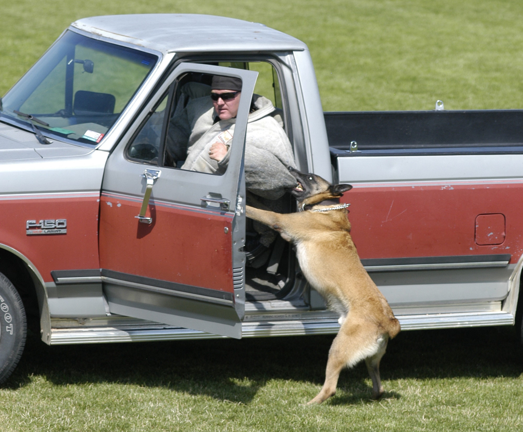 Chaky gets his man, who refused to exit the vehicle, during the working dog competition Sept. 8 at the U.S. Air Force Academy. The two-day event pitted roughly 20 dog teams against each other to compete for titles in areas such as drug detection, handler protection and speed. (U.S. Air Force photo by John Van Winkle)