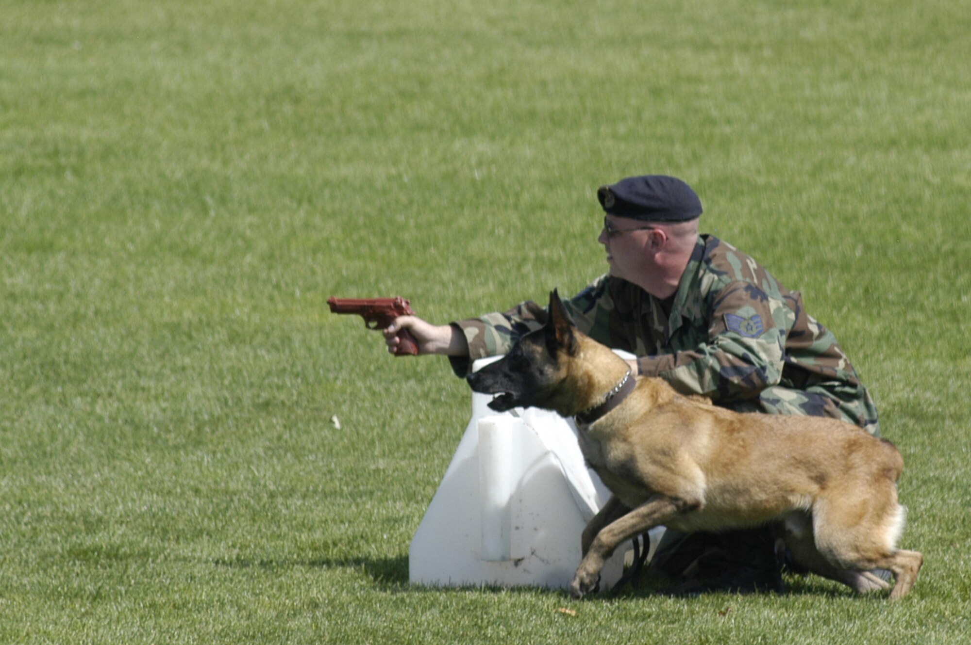 Staff Sgt. Anthony Davis and military working dog Chaky, 21st Security Forces Squadron, hold a ‘suspect’ at gunpoint during the working dog competition Sept. 8 at the U.S. Air Force Academy. Sergeant Davis and Chaky took first place in both the patrol and obedience competitions, and second in building search. (U.S. Air Force photo by John Van Winkle)