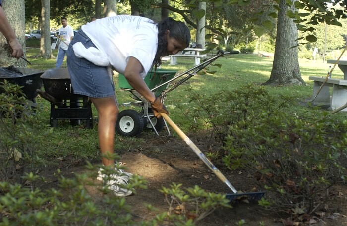 Master Sgt. Florina Barnes, 437th Comptroller Squadron, rakes leaves and old ground covering at Quaterman Park in North Charleston as part of the Trident United Way's "Day of Caring" Tuesday. (U.S. Air Force Photo/Tech. Sgt. Paul Kilgallon)      