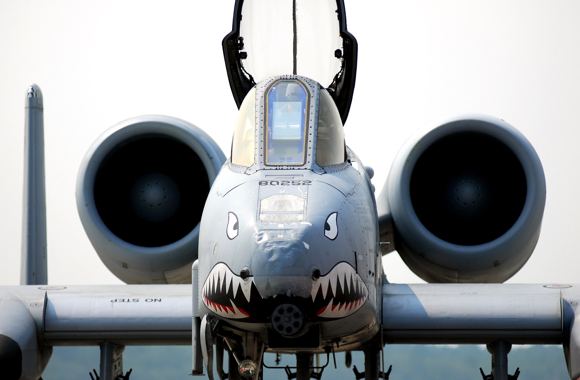 A-10 Thunderbolt IIs, like this one, carried out numerous close-air-support missions Sept. 12 for coalition forces engaged in Operation Enduring Freedom operations.  (U.S. Air Force photo/Tech. Sgt. Parker Gyokeres) 
