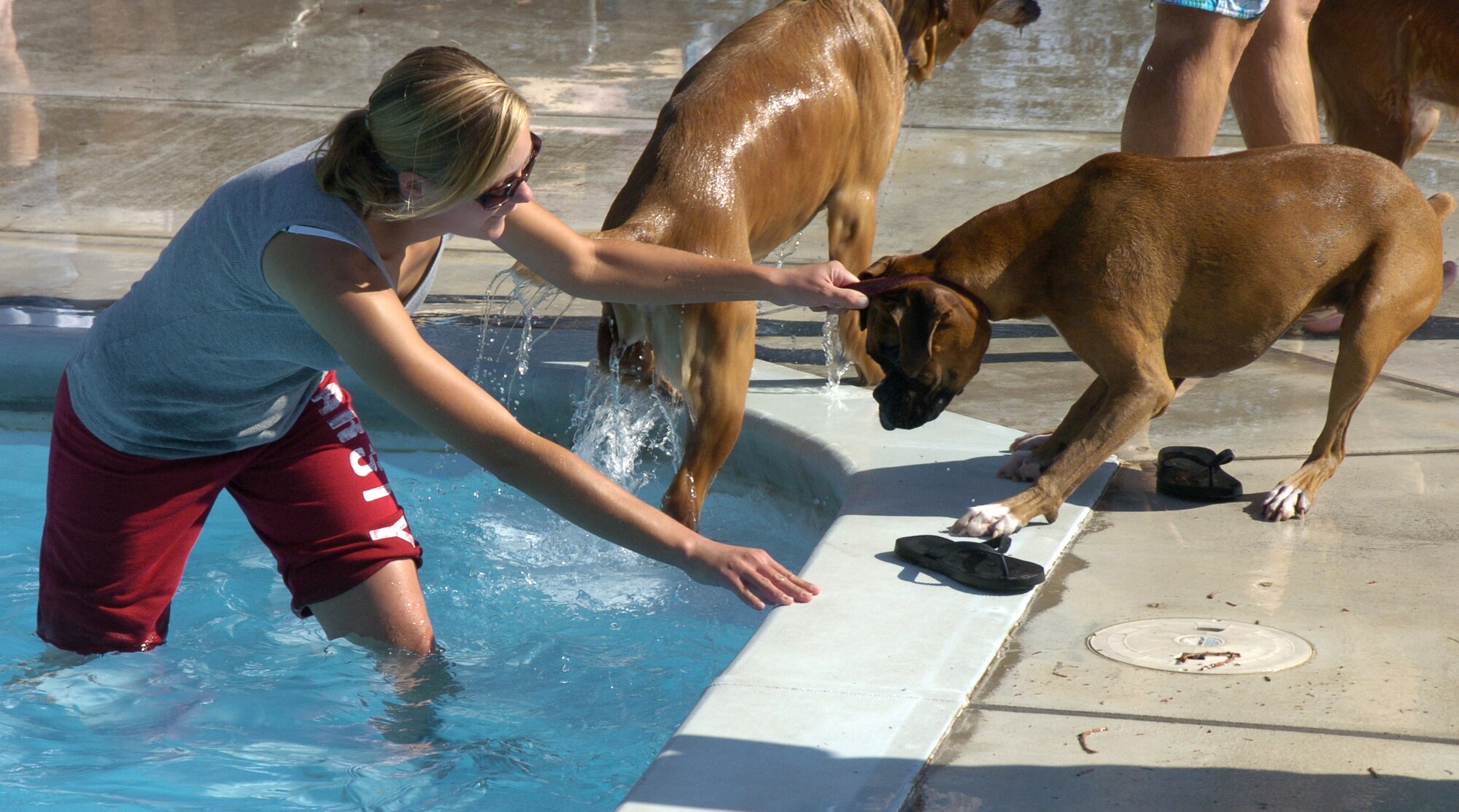Sarah Hanych, a contractor with Lear Siegler, coaxes her dog Liberty to join her in the #3 base pool. The pet pool party is an annual event held close to the end of summer for families to spend time with their pets.