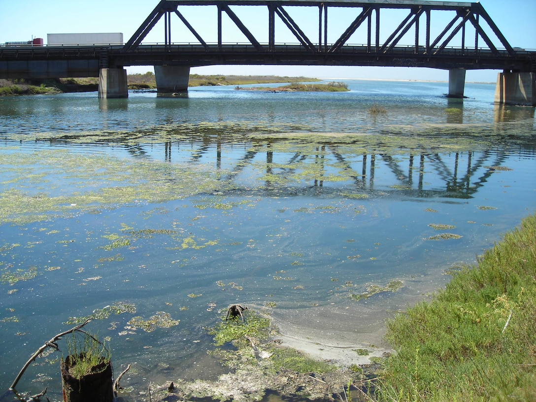 Water from Marine Corps Base Camp Pendleton's boat basin begins to overflow with algae due to the pollution promoting gowth and limiting the water's oxygen.