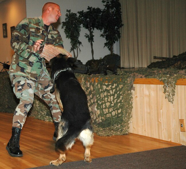 Staff Sgt. Joseph Knowles, 341st Security Forces Squadron military working-dog handler, performs an aggression demonstration with 5-year-old Kajo, narcotics detection dog, during a luncheon at Malmstrom Air Force Base Sept. 12. The luncheon was held to enhance working relationships and build functional bridges between Malmstrom and Montana Air National Guard leadership.
(U.S. Air Force photo/Airman 1st Class Dillon White)
