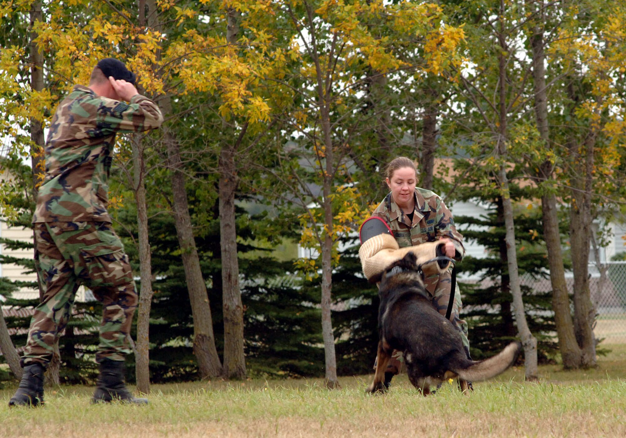 CAVALIER AIR STATION, N.D. -- CAVALIER AIR STATION, N.D. -- Senior Airman Shannon Sebera uses a bite sleeve to protect herself from a bite from Aladar as his handler, as Staff Sgt. John Havlik prepares to let him go. The Security forces members are from the 319th Security Forces Squadron, Grand Forks Air Force Base, N.D., and were performing a military working dog demonstration during Cavalier's open house, Sept. 8, 2007. (U.S. Air Force photo/Senior Airman SerMae Lampkin)