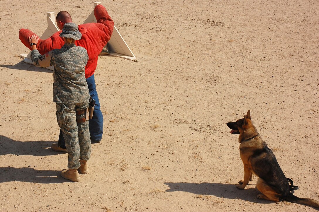Staff Sgt. Laura Felts performs a search of a decoy Sept. 19 at a deployed location in Southwest Asia. Sergeant Felts is a 386th Expeditionary Security Forces Squadron military working dog handler. Bert, a 386th ESFS military working dog, sits in an overwatch position, substituting for a human partner. Military working dogs are trained to respond to a hostile threat to either themselves or their partner, with or without a command. (U.S. Air Force photo/Staff Sgt. Tia Schroeder) 
