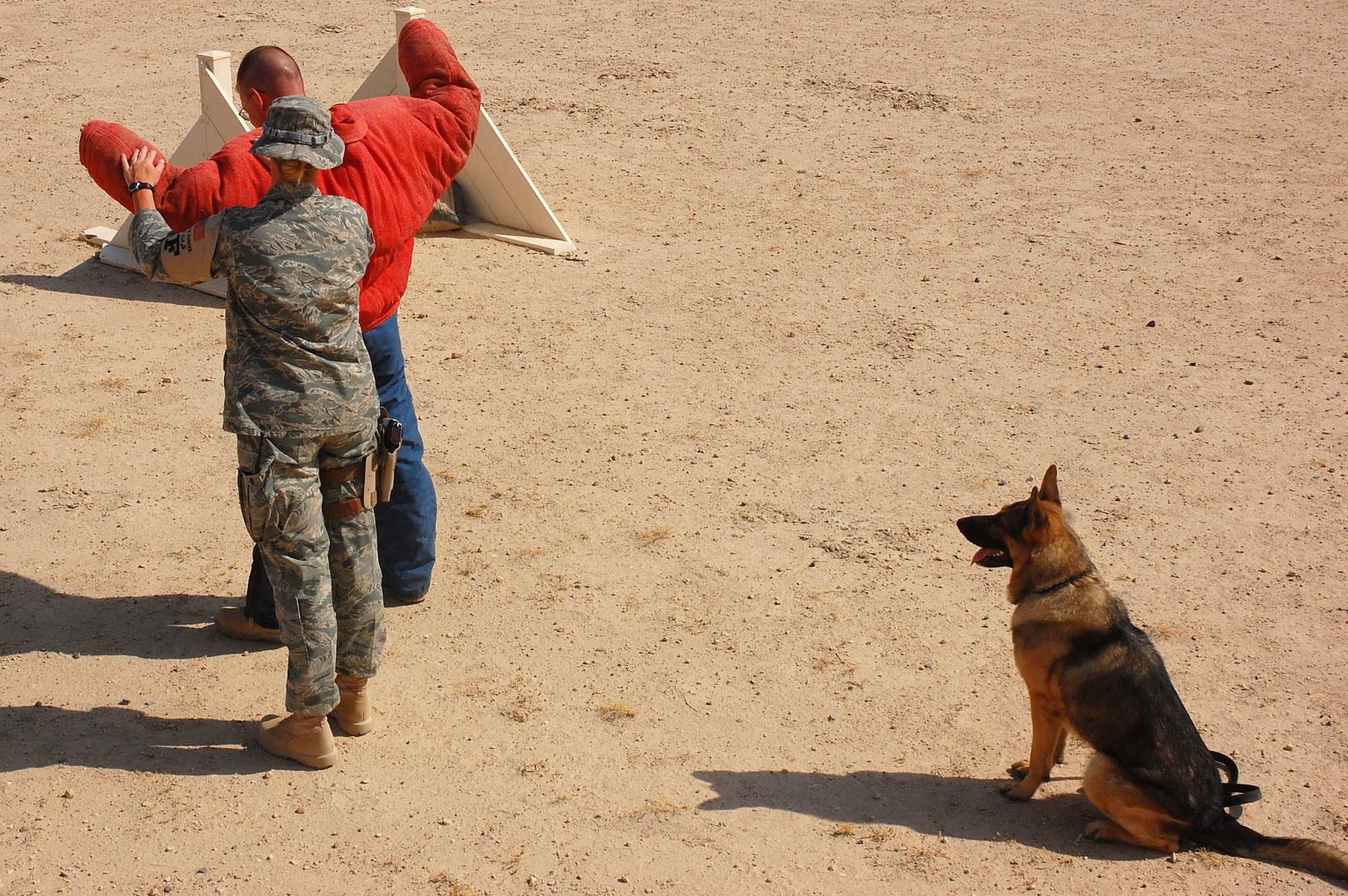 Staff Sgt. Laura Felts performs a search of a decoy Sept. 19 at a deployed location in Southwest Asia. Sergeant Felts is a 386th Expeditionary Security Forces Squadron military working dog handler. Bert, a 386th ESFS military working dog, sits in an overwatch position, substituting for a human partner. Military working dogs are trained to respond to a hostile threat to either themselves or their partner, with or without a command. (U.S. Air Force photo/Staff Sgt. Tia Schroeder) 
