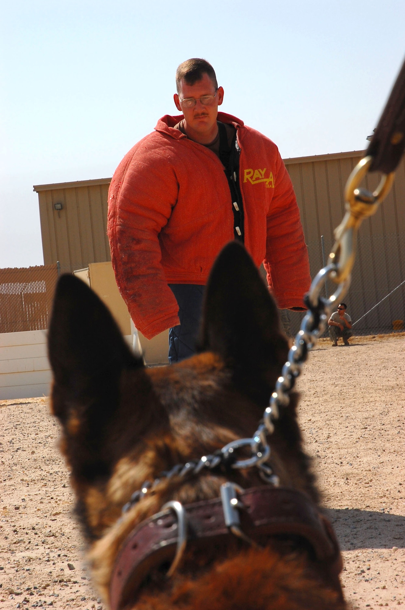 Axel keeps a sharp eye on a "suspect" during aggression training Sept. 19 at a deployed location in Southwest Asia. Axel is a 386th Expeditionary Security Forces Squadron military working dog. The military working dogs are trained several times a week to keep their skills sharp. (U.S. Air Force photo/Staff Sgt. Tia Schroeder) 