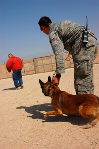 Senior Airman Justin Gatti prepares to release his partner, Axel, to attack a decoy during aggression training Sept. 19 at a deployed location in Southwest Asia. Airman Gatti is a 386th Expeditionary Security Forces Squadron military working dog handler, and Axel is a 386th ESFS military working dog. The military working dogs are trained several times a week to keep their skills sharp. (U.S. Air Force photo/Staff Sgt. Tia Schroeder) 
