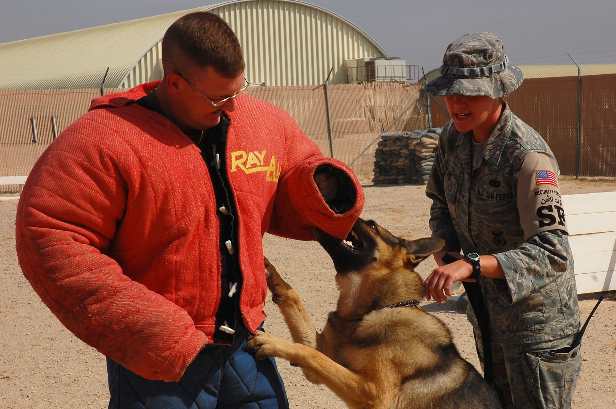 Tech. Sgt. Brandon Webb, 386th Expeditionary Security Forces Squadron kennel master, tries to keep his balance as Bert, one of several military working dogs here, latches onto the bite suit during controlled aggression training as his handler, Staff Sgt. Laura Felts, 386th ESFS military working dog handler, gives commands Sept. 19, here.  Military working dog teams are a force multiplier for security forces.  Military working dogs are trained to respond to a hostile threat to either themselves or their partner, with or without a command.  (U.S. Air Force photo by Staff Sgt. Tia Schroeder)