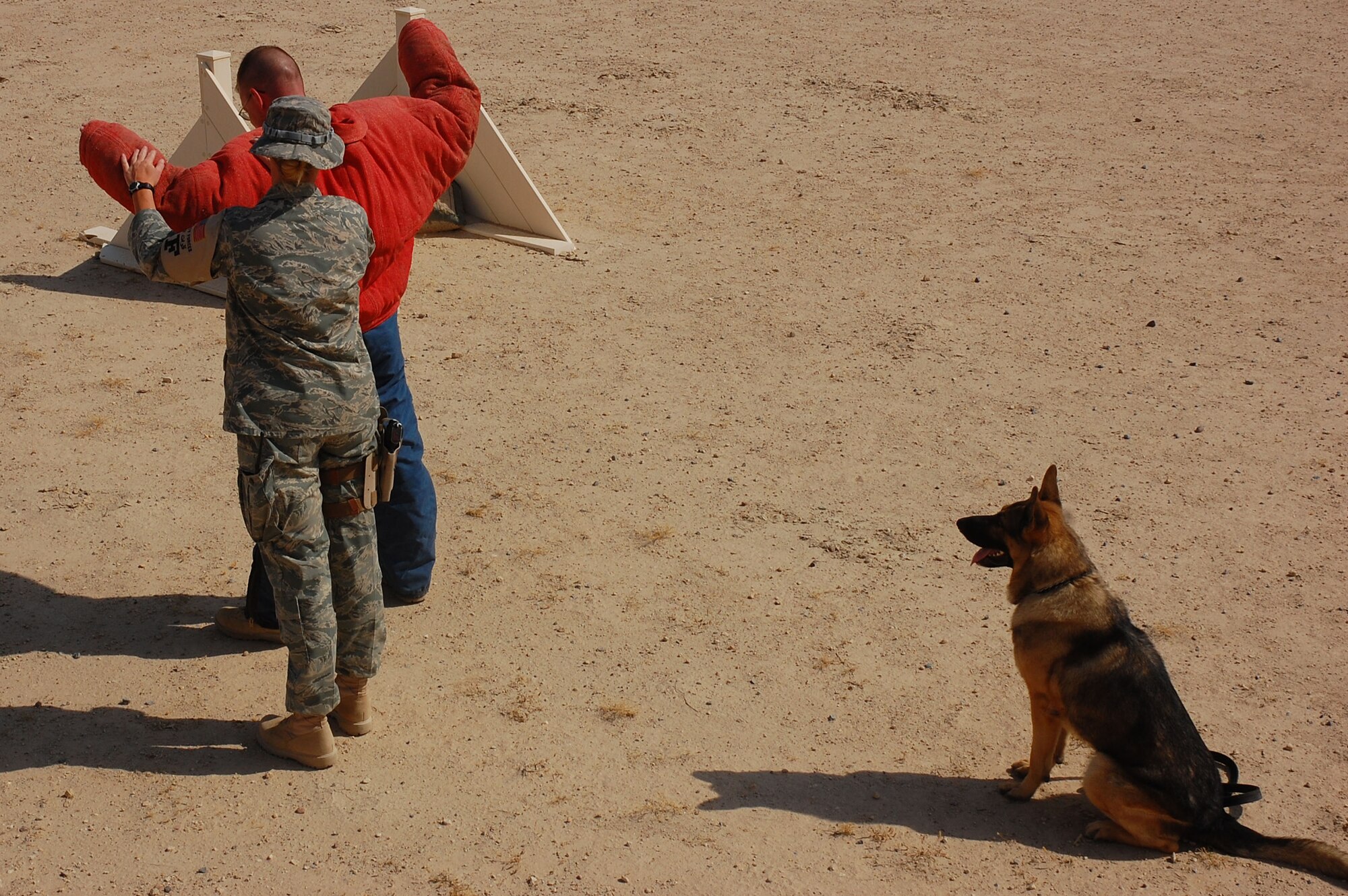 Staff Sgt. Laura Felts, 386th Expeditionary Security Forces Squadron military working dog handler, performs a search of a decoy. Tech. Sgt. Brandon Webb, 386th ESFS, and Sergeant Felts' partner, Bert, 386th ESFS military working dog, sit in an over watch position, substituting for a human partner on Sept. 19, here. Military working dogs are trained to respond to a hostile threat to either themselves or their partner, with or without a command. (U. S. Air Force photo by Staff Sgt. Tia Schroeder)