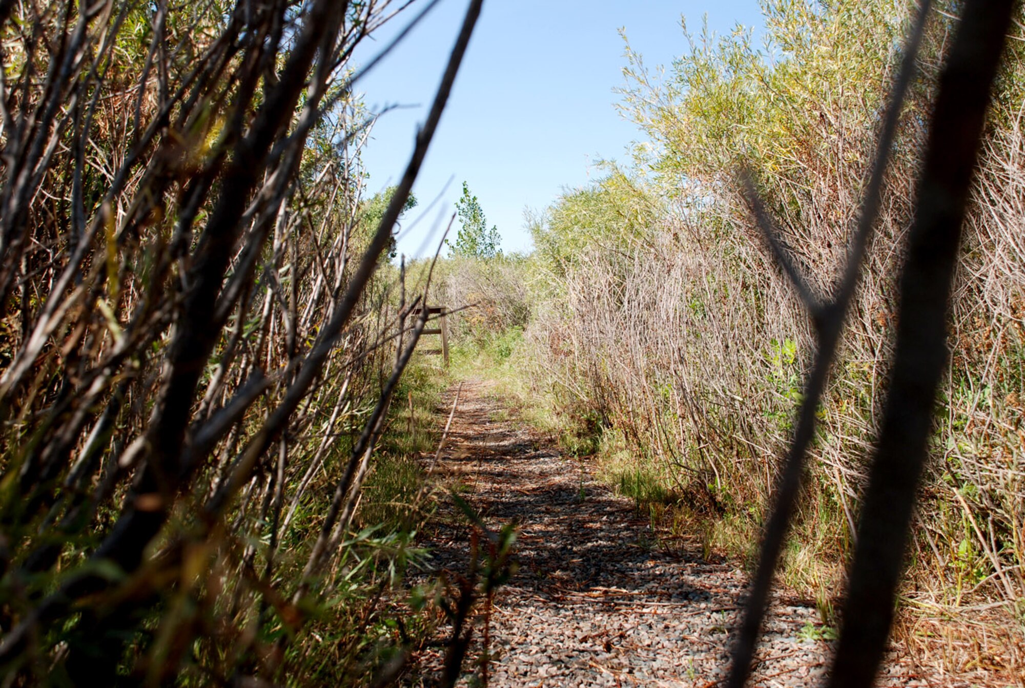 The Crow Creek nature trail was dedicated by the people of Warren in 1990. The trail offers a view of many plants and animals found in the local wilderness. Located at the Famcamp, the trail is strategically positioned around the Colorado butterfly plant, an endangered herb since October 2000 (Photo by Airman 1st Class Daryl Knee).