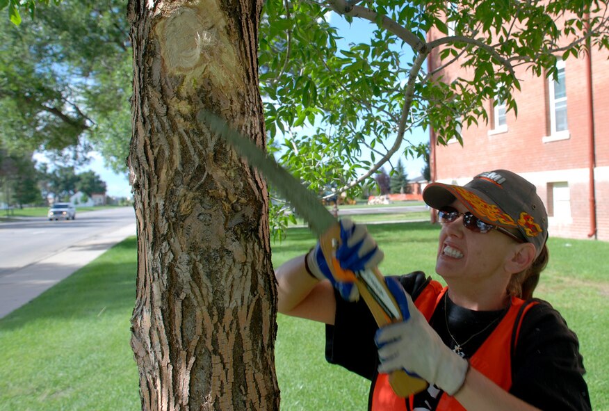 Lori Jorden, a contractor for Skills’ Kin, prunes a tree off of Old Glory Rd. Sept. 6. Providing basic upkeep to the trees around the base prevents hazards to the Warren community. This tree’s limbs were jutting out into the road, blocking sight to an intersection (Photo by Airman 1st Class Daryl Knee).