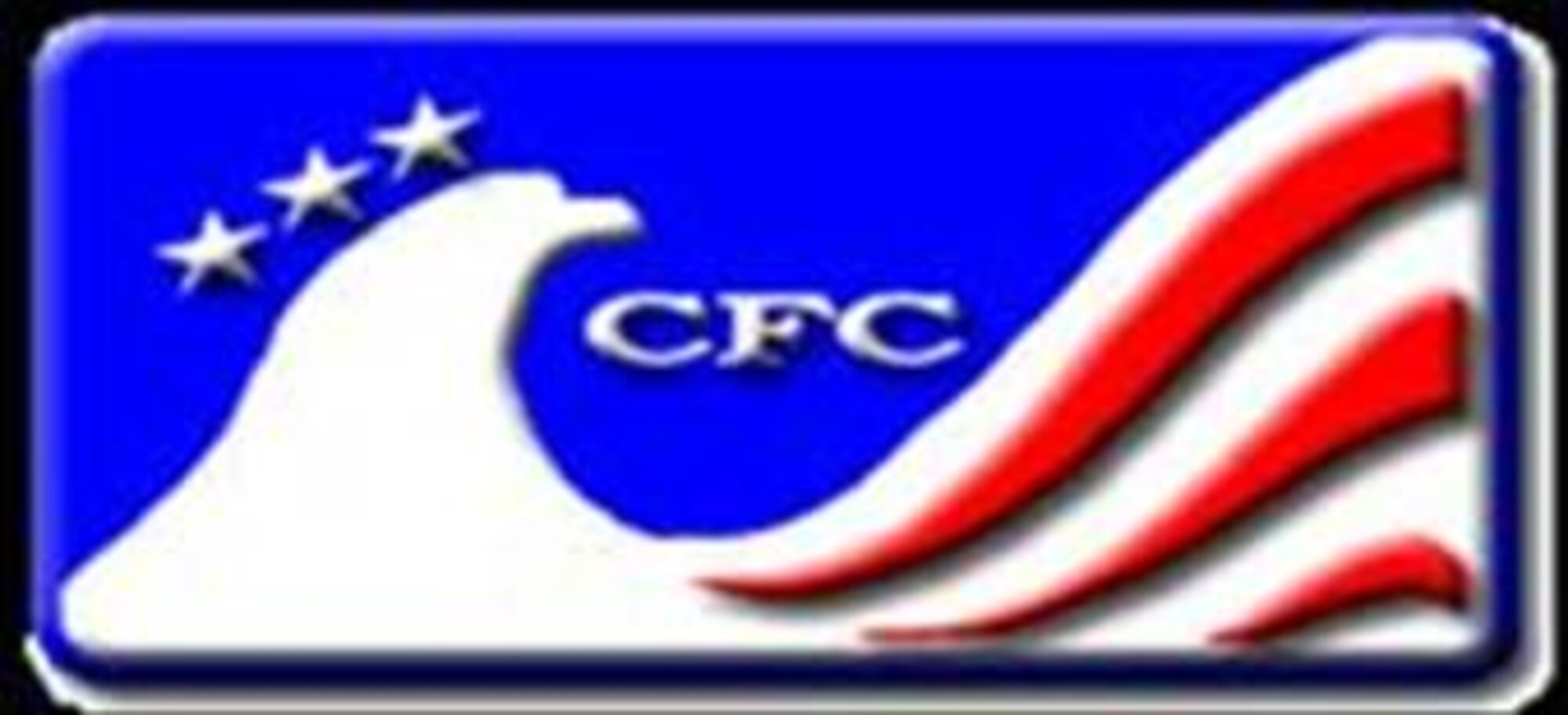 Ellsowrth CFC runs from Sept 24 to Oct 12. Ellsworth's goal is to recieve $90,000 in donations during the 2007 CFC. Contact a squadron CFC POC for information.