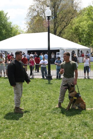 Sgt. Shain E. Nickerson and Lance Cpl. Andrew J. Marcum, Marine working dog handlers with Military Police Support Company, II Marine Headquarters Group shows off Zock, the 22-month-old Patrol Explosive Detection Dog, during a training demonstration at Boston Common, May 4, 2010. The dog handlers showed the Boston citizens a few training tactics and exactly what these dogs are capable of.