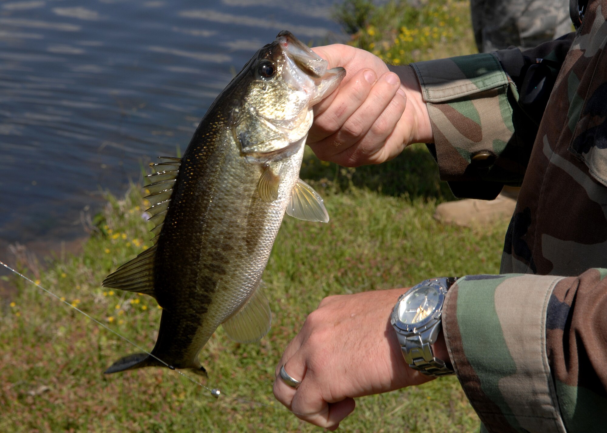 MOODY AIR FORCE BASE, Ga. -- Tech. Sgt. Chris McMahon, 23rd Communications Squadron, catches a large-mouth bass at Mission Lake during his lunch hour here April 2. Sergeant McMahon practices catch-and-release fishing while at Mission Lake. (U.S. Air Force photo by Airman 1st Class Brittany Barker)