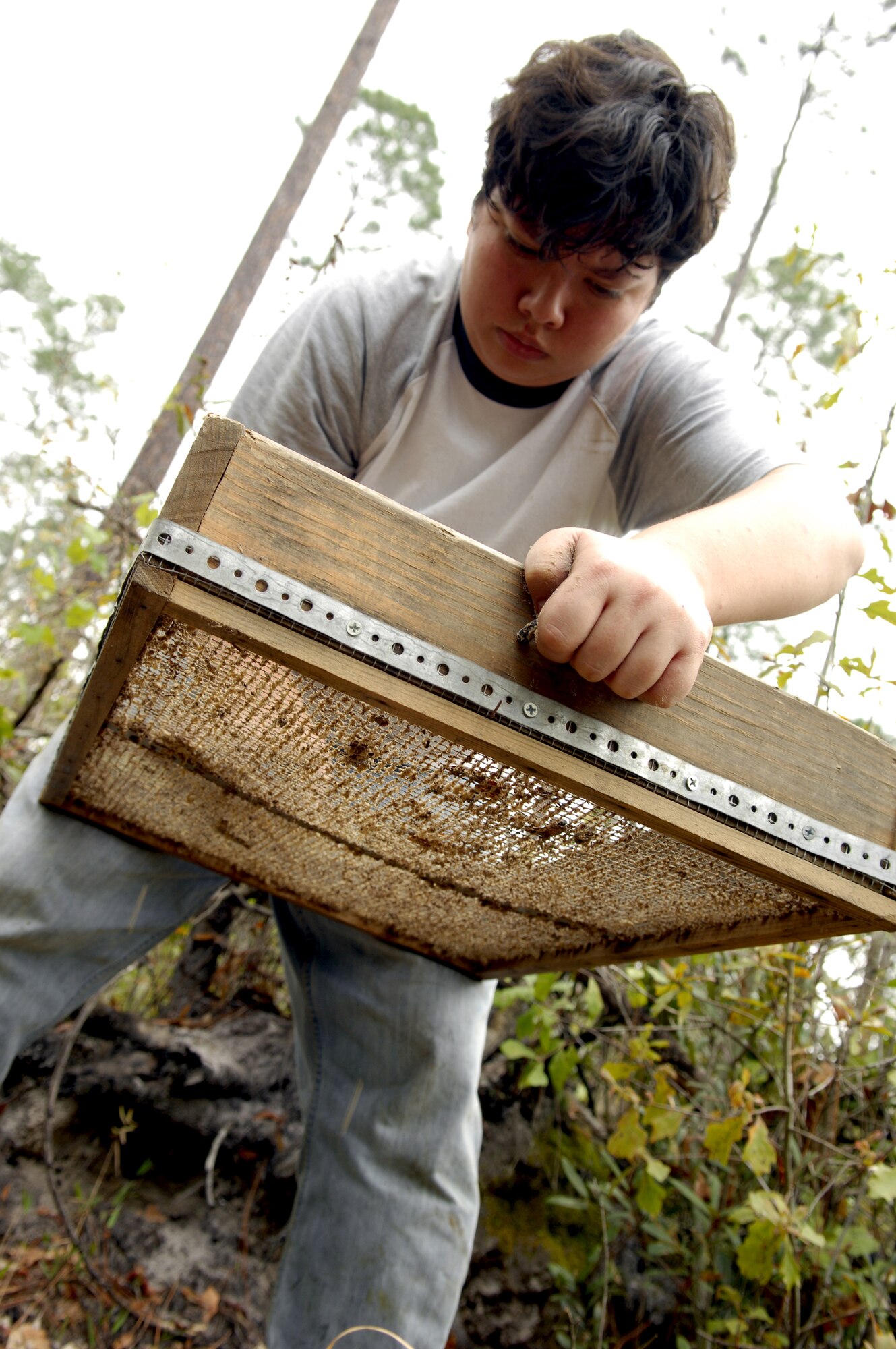 MOODY AIR FORCE BASE, Ga. -- Danielle Costello, 23rd Civil Engineering Squadron natural resource co-op student, pushes dirt through a sifting box during a shovel test to look for artifacts at Grand Bay Range here April 3. The shovel test helps find artifacts that could be used to determine if a site should be protected. (U.S. Air Force photo by Senior Airman Elizabeth Rissmiller)
